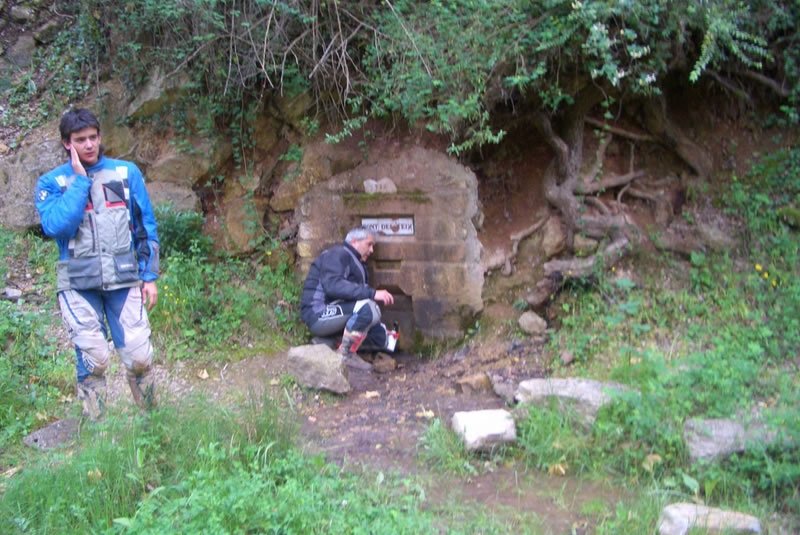 CIMG3136 [800x600]_jpg